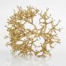 Χριστουγεννιάτικο Κλαδί Κοράλλι Χρυσό (49cm)